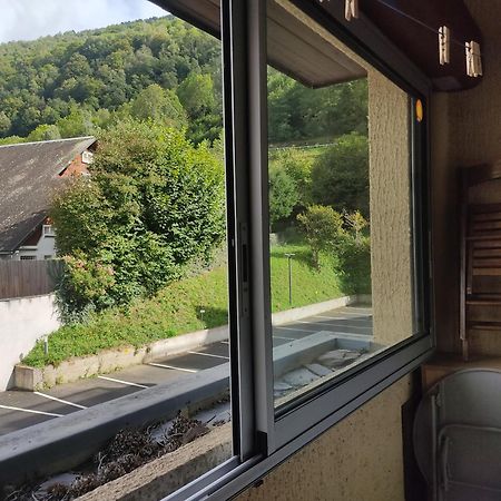 Appartement Confortable Saint Lary Village エクステリア 写真
